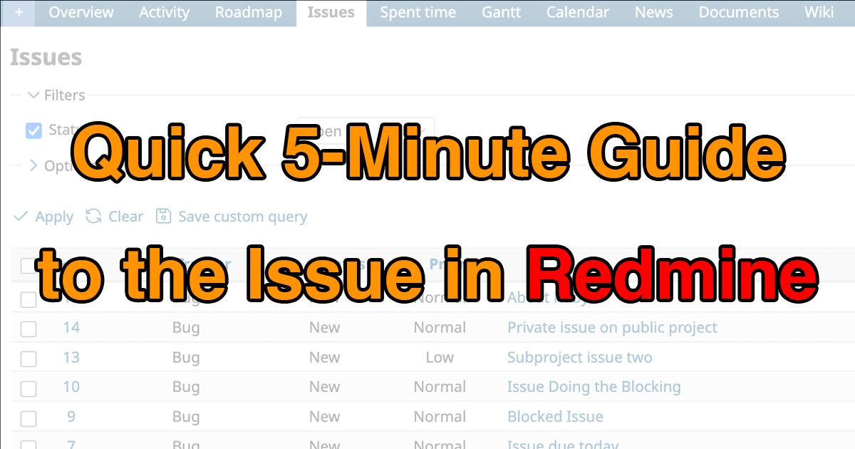 Quick 5-Minute Guide to the Issue in Redmine