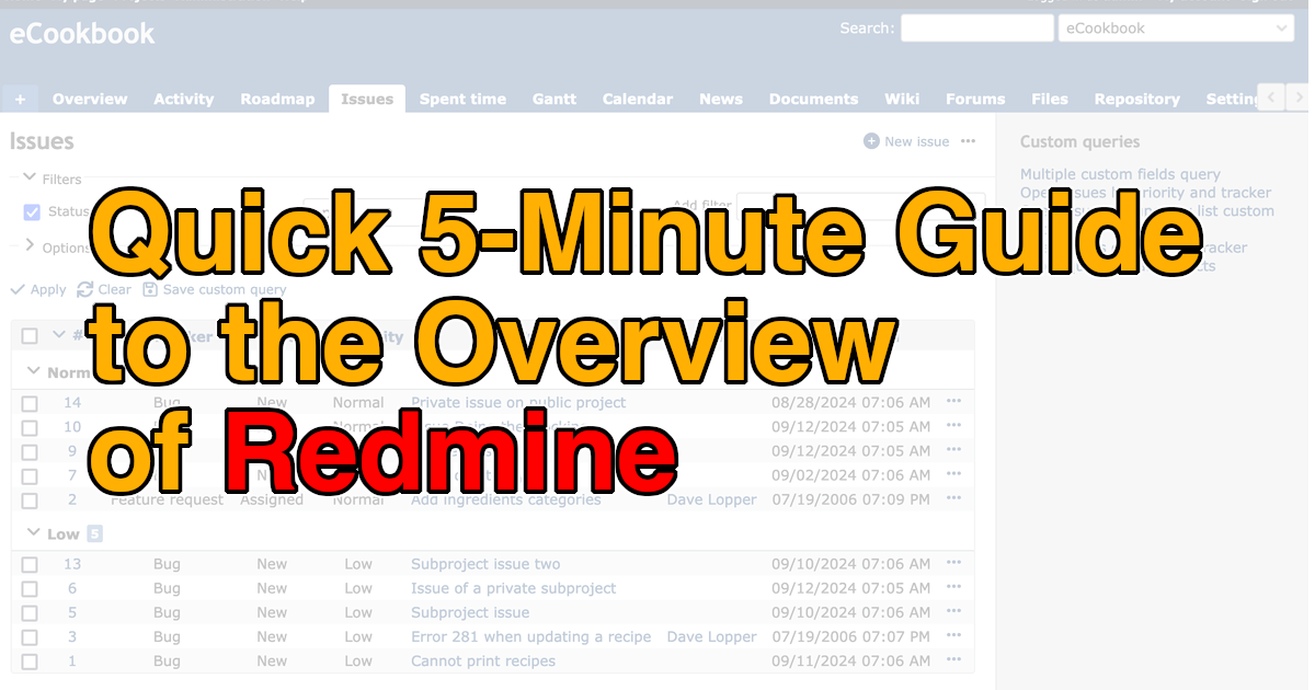 Quick 5-Minute Guide to the Overview of Redmine